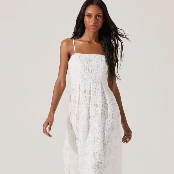 ASTR the Label Clothing Review 6 ASTR the Label Lace Fit & Flare Dress Review