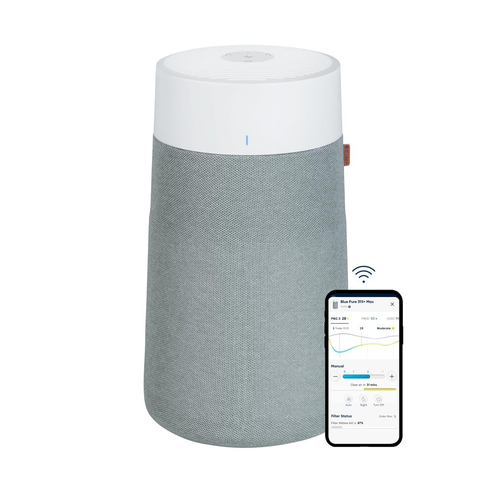 Best Air Purifiers For Mold