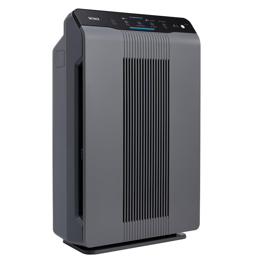 Best Air Purifiers For Mold