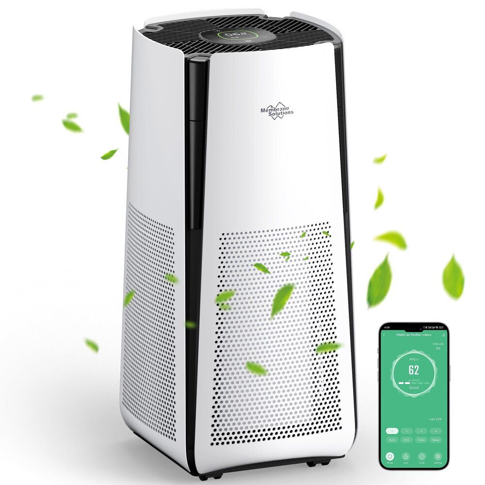 Best Air Purifiers For Mold