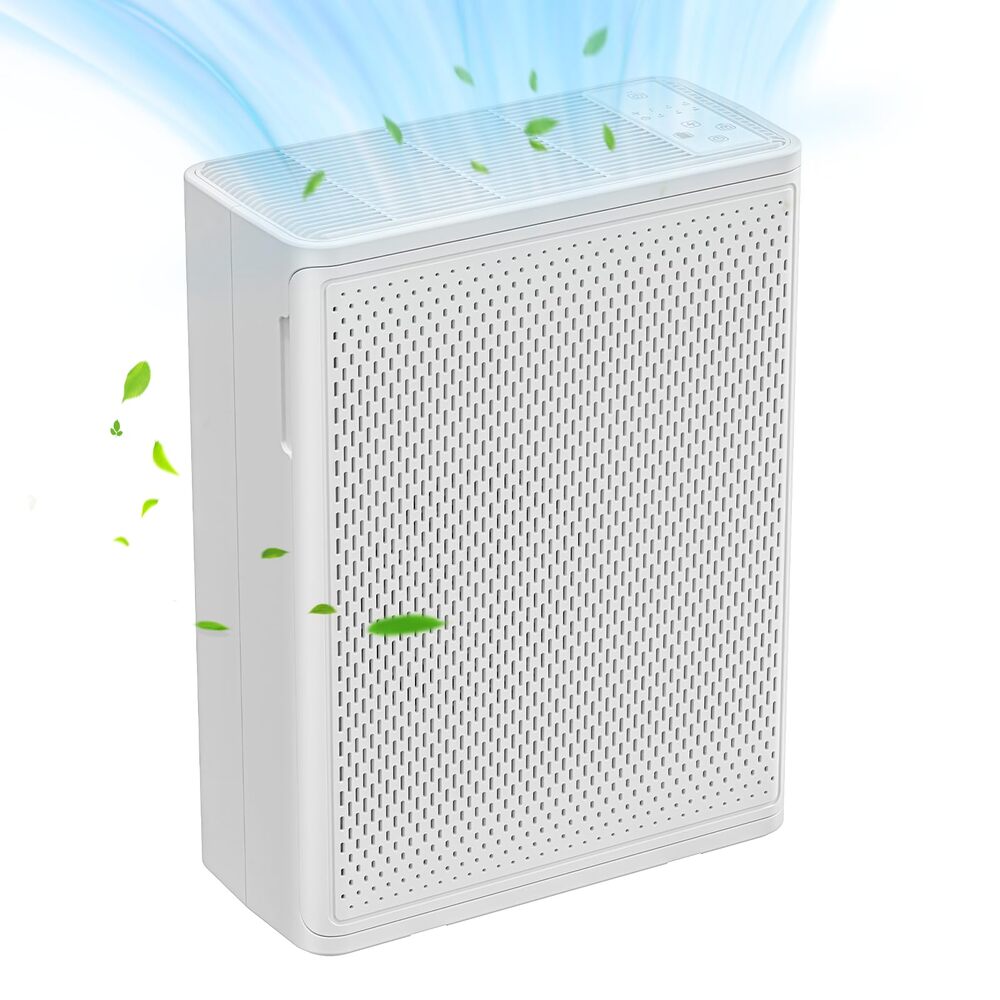 Best Air Purifiers For Mold