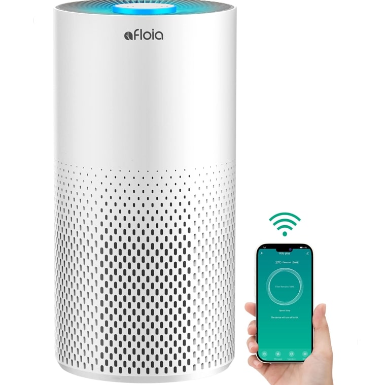 Best Air Purifiers For Mold