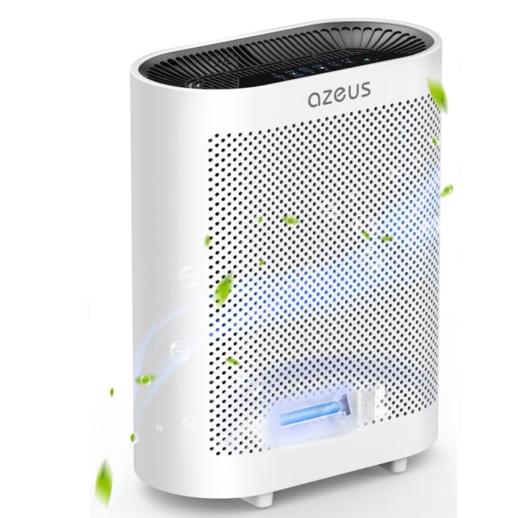 Best Air Purifiers For Mold