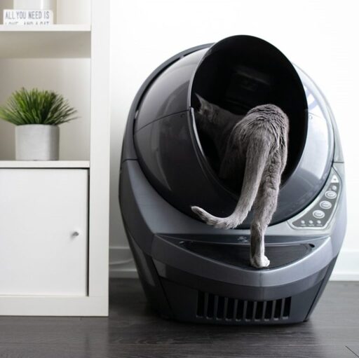Litter-Robot Review