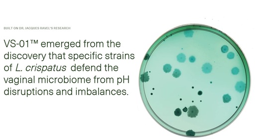 Seed VS-01 PLUS Review