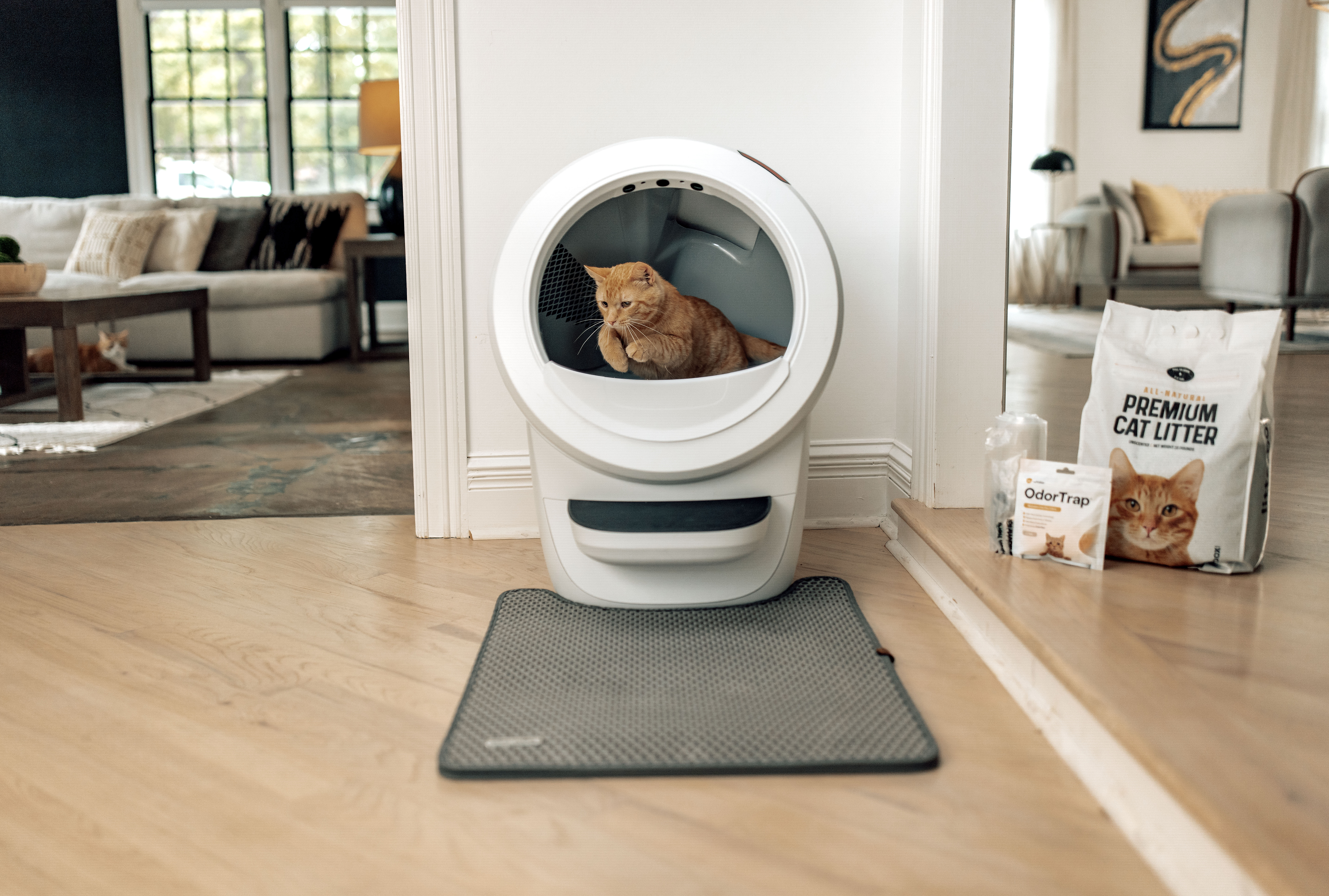 Litter-Robot Review 1