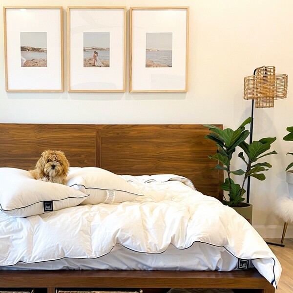 Lull Mattress Review