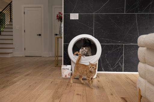 Litter-Robot Review