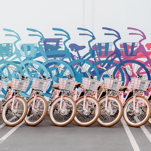 Electric Bike Company Review