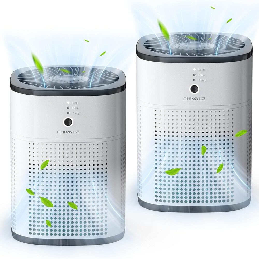 Top 10 Air Purifiers For Pets