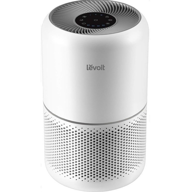Top 10 Air Purifiers For Pets