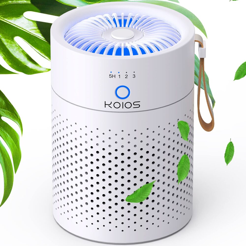 Top 10 Air Purifiers For Pets