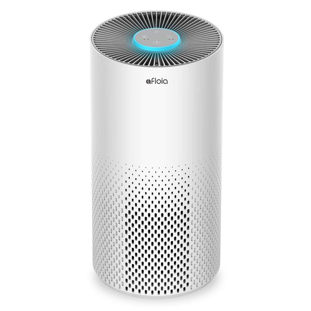 Top 10 Air Purifiers For Pets