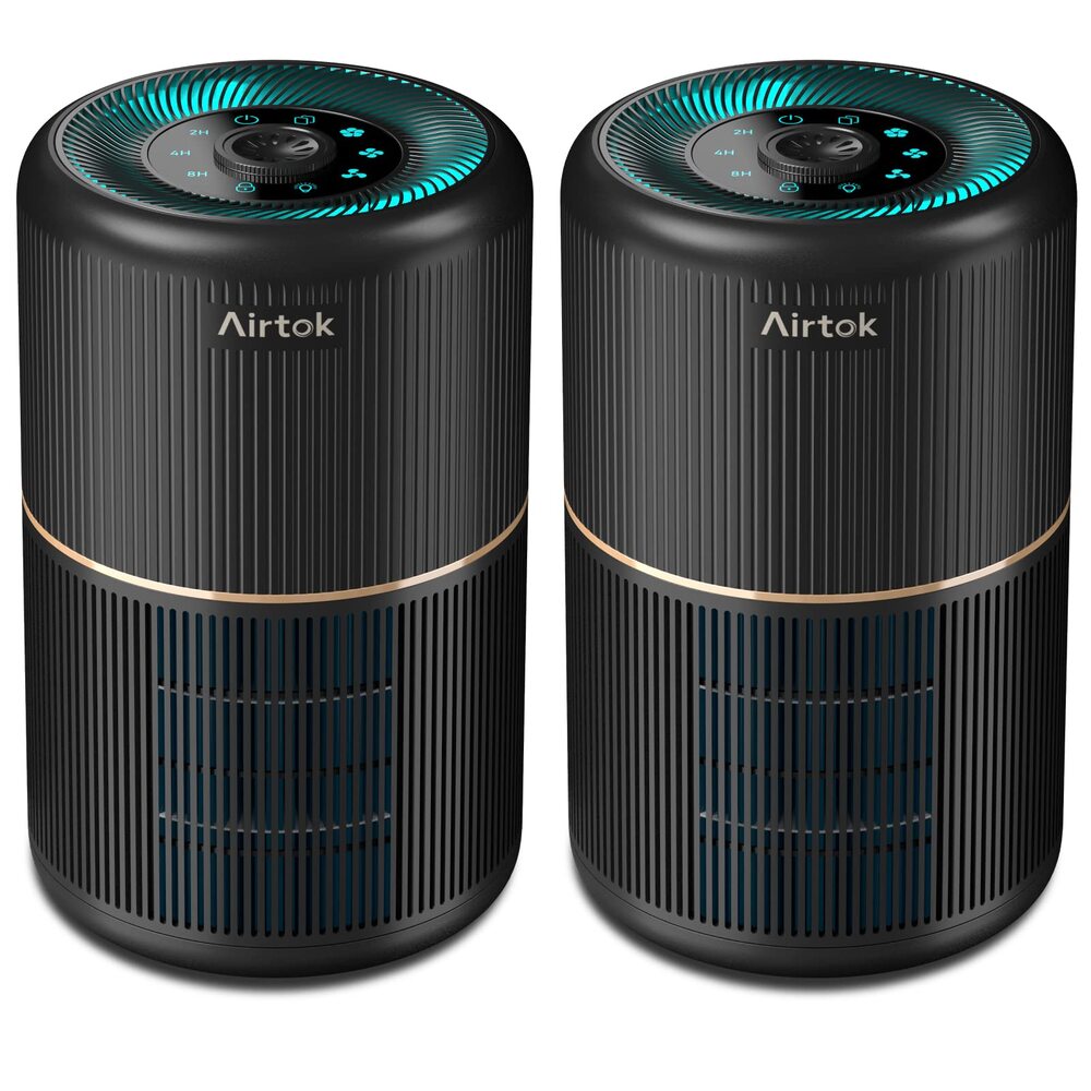 Top 10 Air Purifiers For Pets