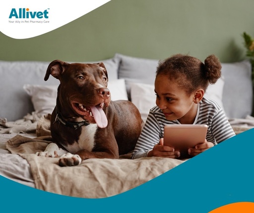 Allivet Review
