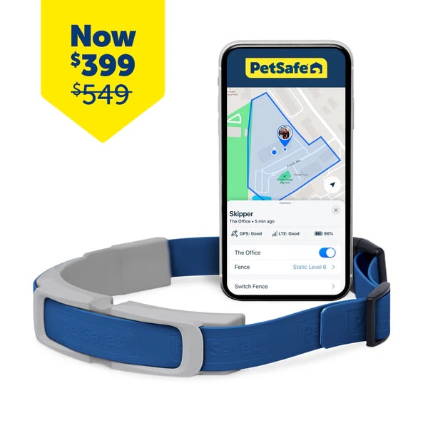 Best GPS Dog Fences