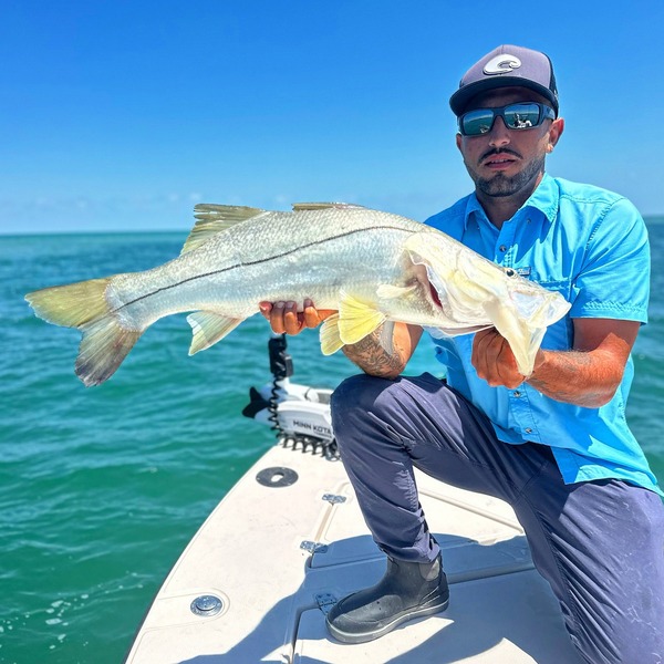 Tackle Direct Review