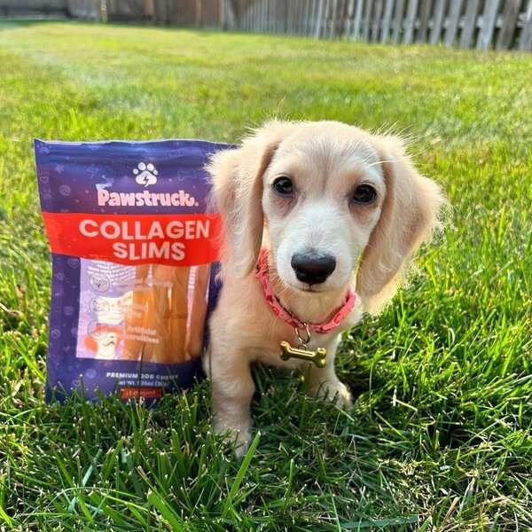 Pawstruck Review: An In-Depth Look at Pet Products and Quality 13 Pawstruck Review