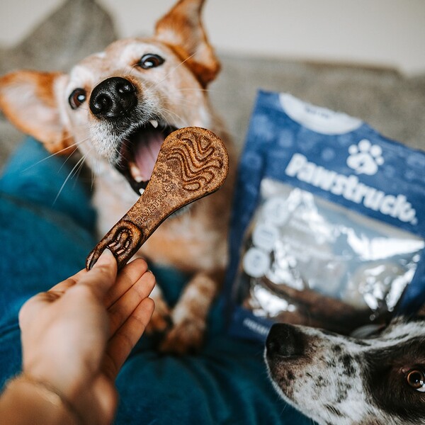 Pawstruck Review: An In-Depth Look at Pet Products and Quality 14 Pawstruck Review