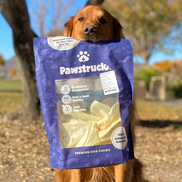 Pawstruck Review: An In-Depth Look at Pet Products and Quality