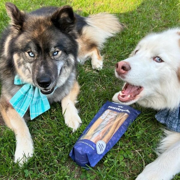 Pawstruck Review: An In-Depth Look at Pet Products and Quality 8 Pawstruck Review