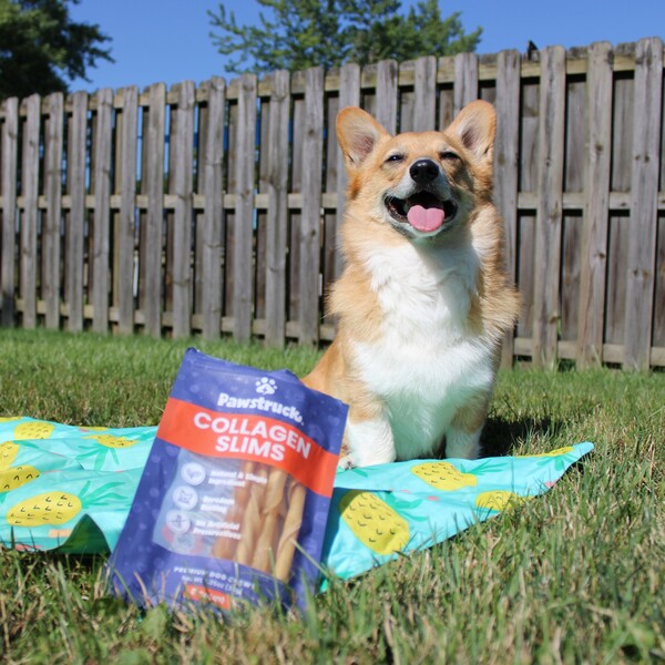 Pawstruck Review: An In-Depth Look at Pet Products and Quality 10 Pawstruck Review