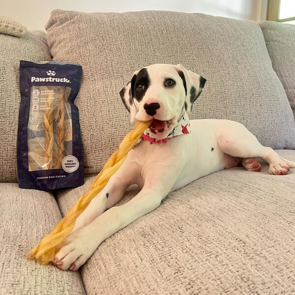 Pawstruck Review: An In-Depth Look at Pet Products and Quality 11 Pawstruck Review