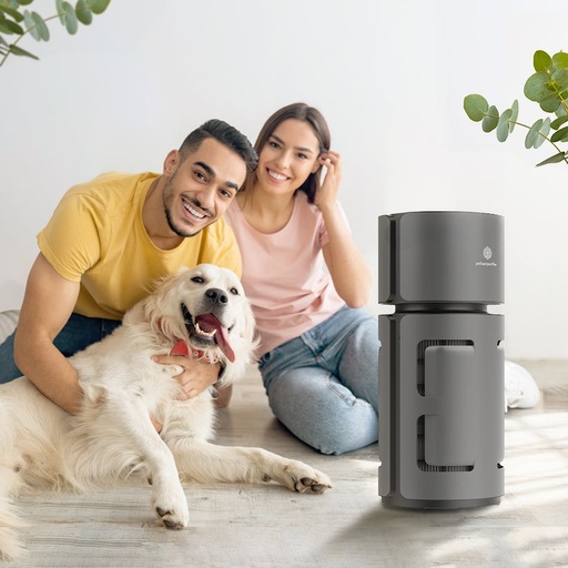 Pets Air Purifier Review