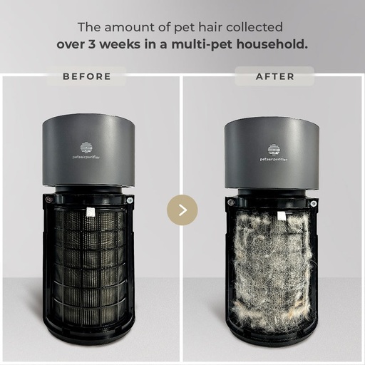Pets Air Purifier Review