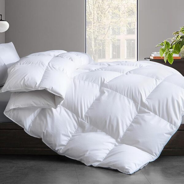 Best Down Alternative Comforter