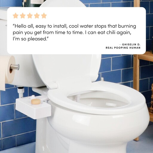 TUSHY vs Luxe Bidet 4