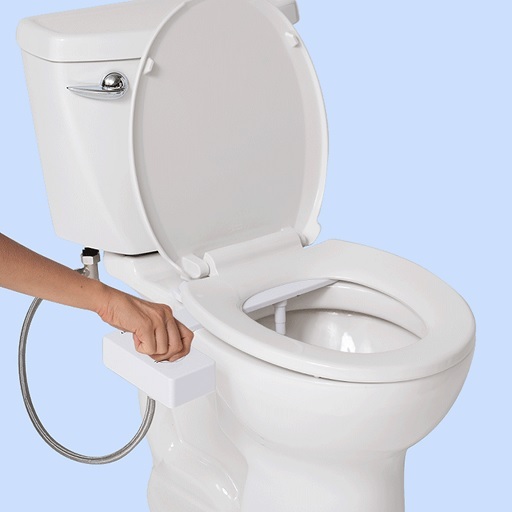 TUSHY Review: Is This Your Butt's New Best Friend? 2 TUSHY Review