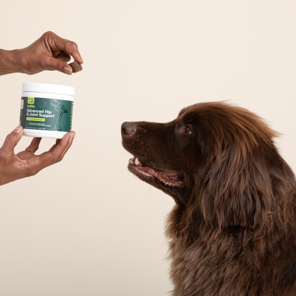 Wuffes Joint Supplements Review