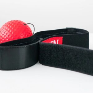 BoxBollen Review - Must Read This Before Buying