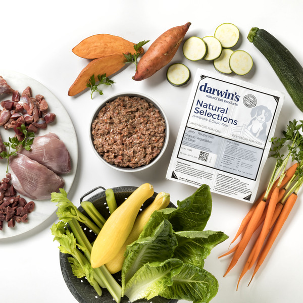 Darwin's Natural Pet Products Review