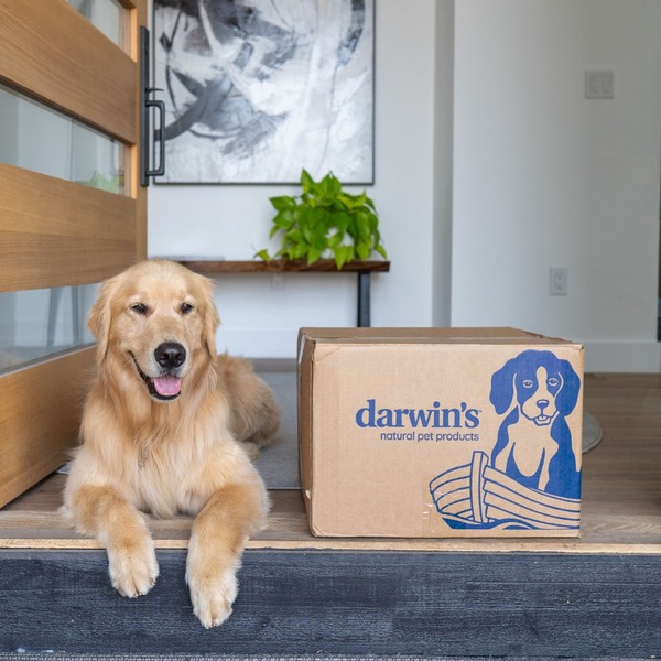 Darwin's Natural Pet Products Review
