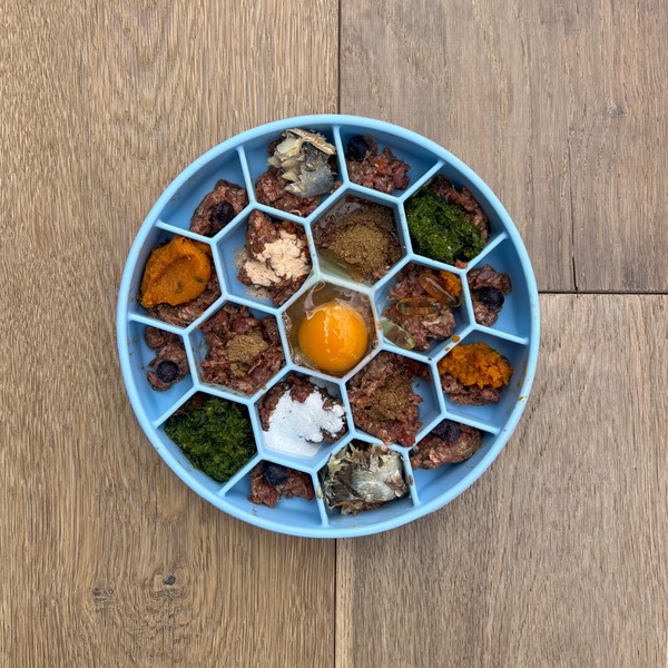 Darwin's Natural Pet Products Review