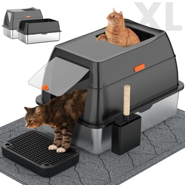 10 Best Cat Litter Box for Odor Control