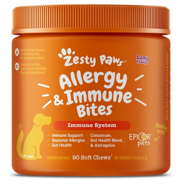 Best Allergy Chews for Dogs