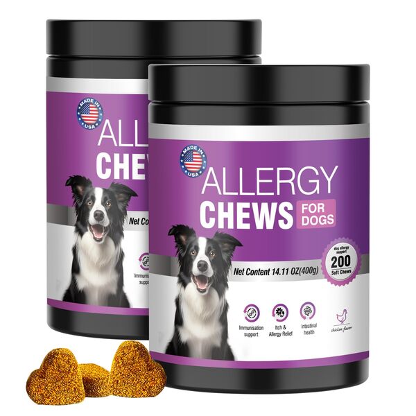 Best Allergy Chews for Dogs
