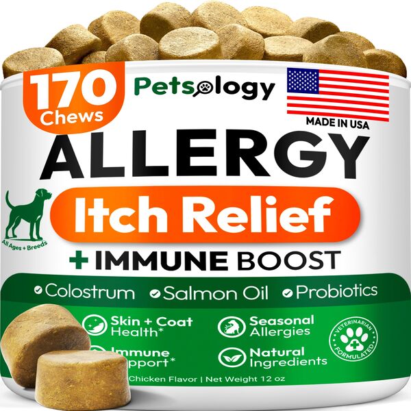 Best Allergy Chews for Dogs