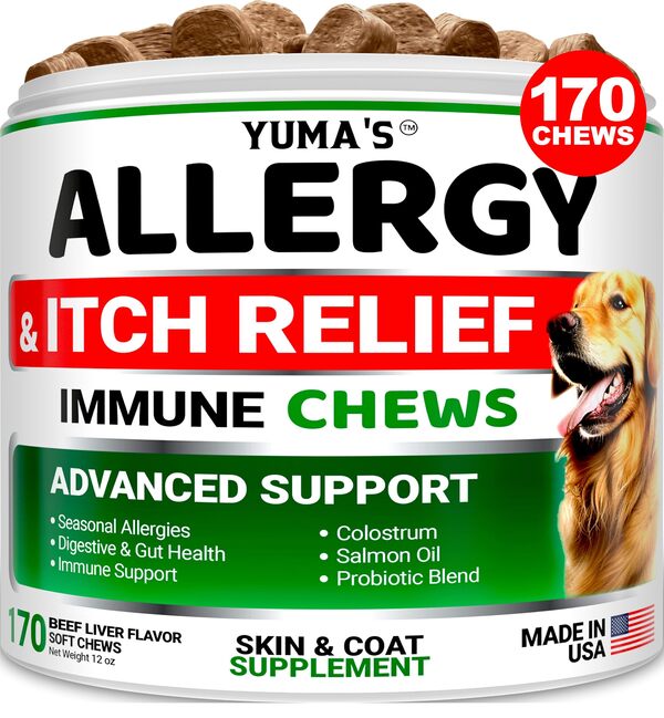 Best Allergy Chews for Dogs