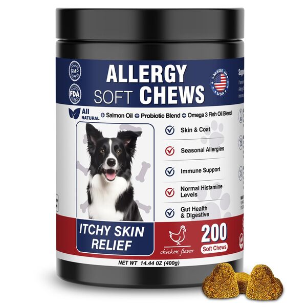 Best Allergy Chews for Dogs