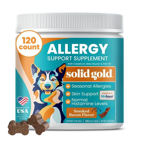 Best Allergy Chews for Dogs