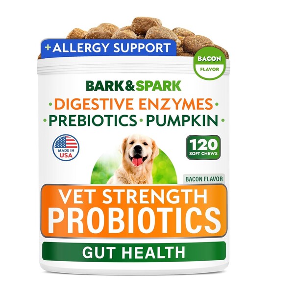 Best Probiotic Chews for Dogs: Top Choices for Your Pet's Gut Health
