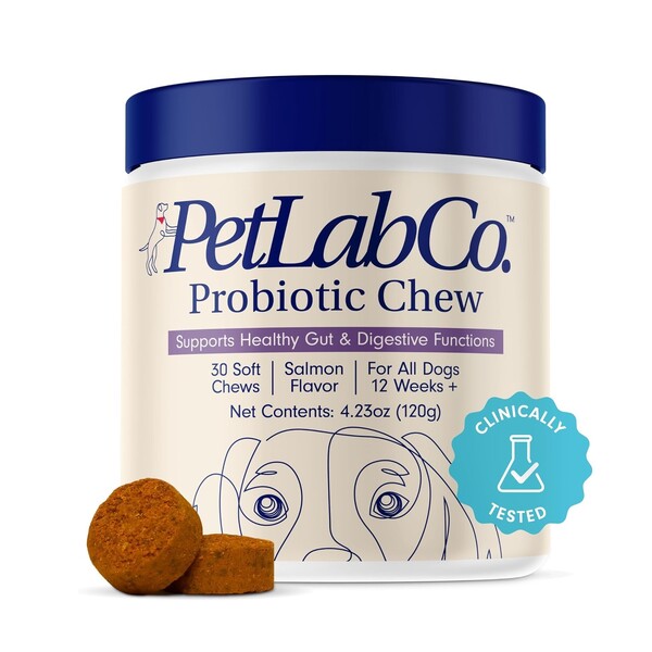 Best Probiotic Chews for Dogs: Top Choices for Your Pet's Gut Health