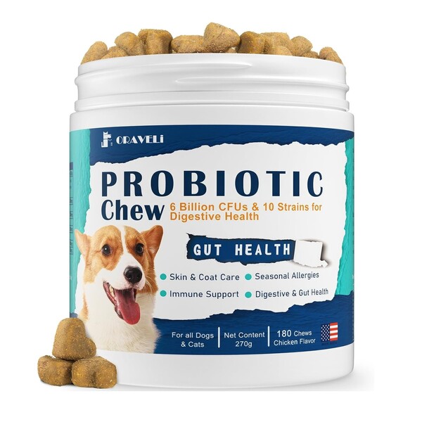 Best Probiotic Chews for Dogs: Top Choices for Your Pet's Gut Health