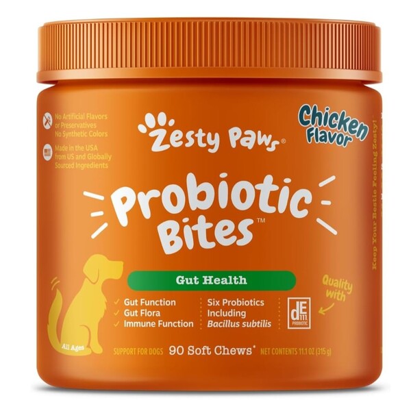 Best Probiotic Chews for Dogs: Top Choices for Your Pet's Gut Health
