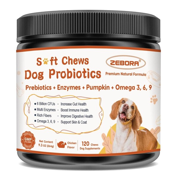 Best Probiotic Chews for Dogs: Top Choices for Your Pet's Gut Health