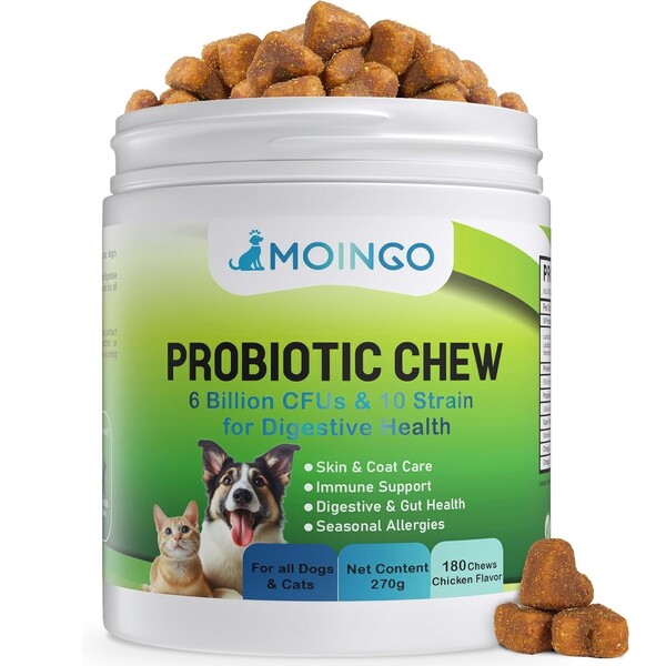 Best Probiotic Chews for Dogs: Top Choices for Your Pet's Gut Health